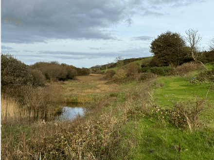 Land Extending to Circa 22 Acres